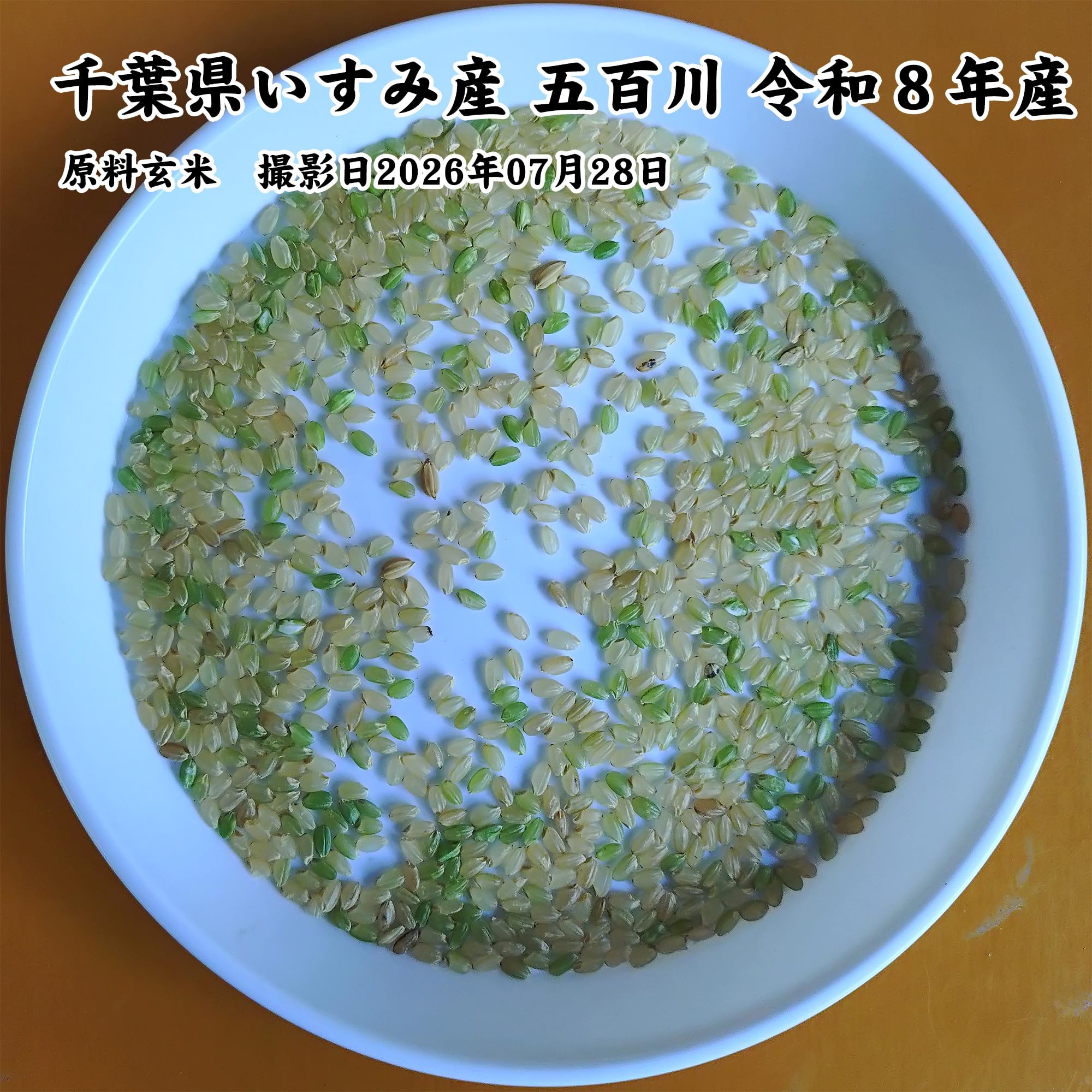 Amazon.co.jp: 千葉県いすみ市産 五百川 令和8年産 白米 10kg : 食品